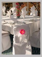 Chair Covers Wales 1077572 Image 8